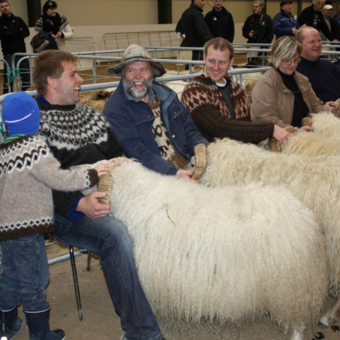 Dagur Sauðkindarinnar