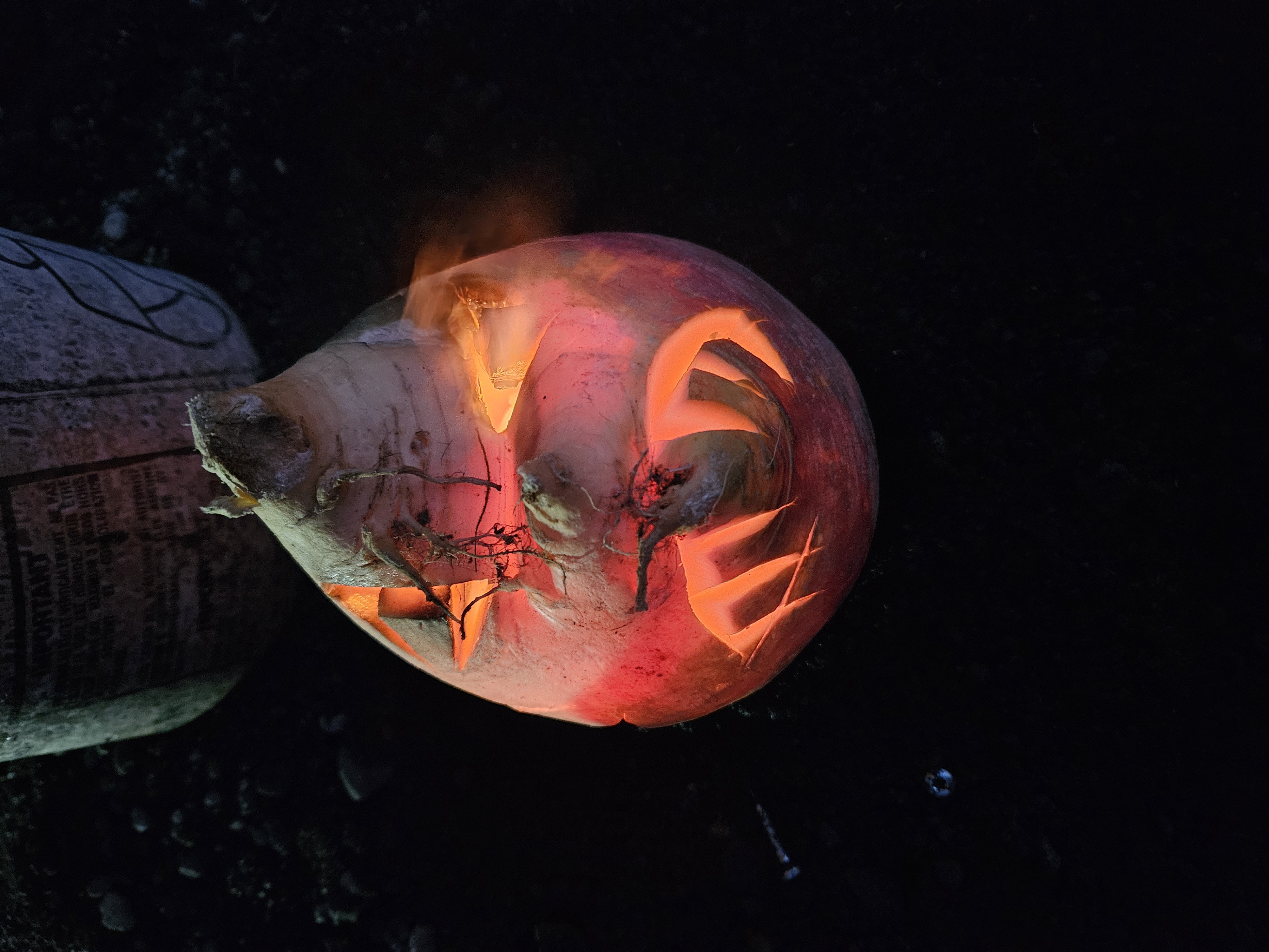 Frá draugagöngunni í fyrra