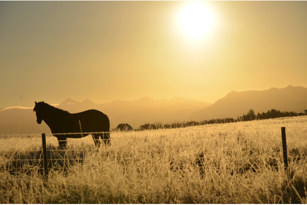 Til leigu fjallaskálar og girðingar á Holtamannaafrétti
