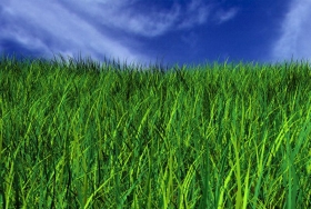 Sorpstöð Rangárvallasýslu auglýsir vor- og sumarhreinsun