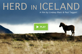 Heimildamynd um íslenska hestinn í bígerð