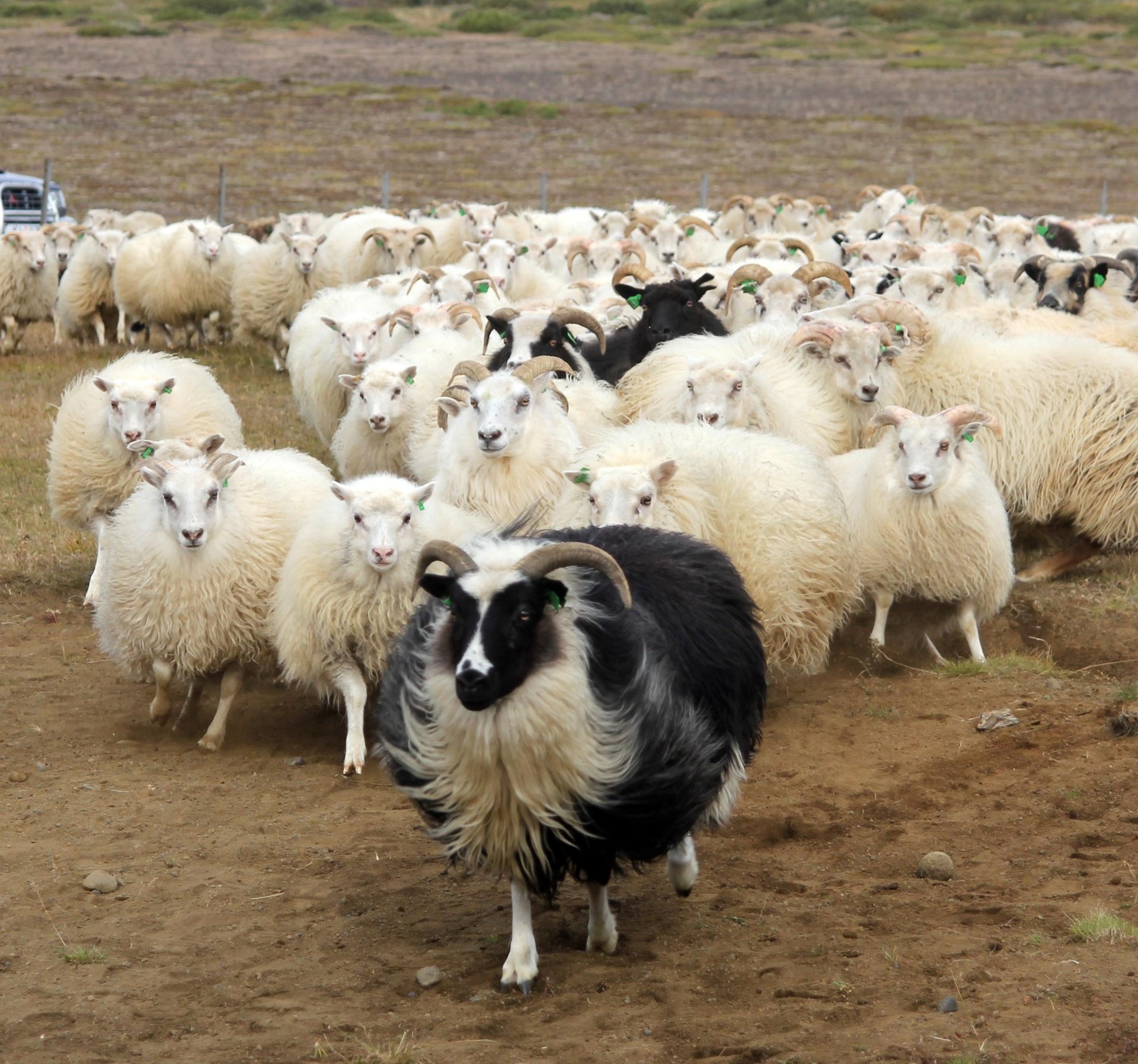 Kvindring Ábending varðandi byggðasmölun | Rangárþing ytra