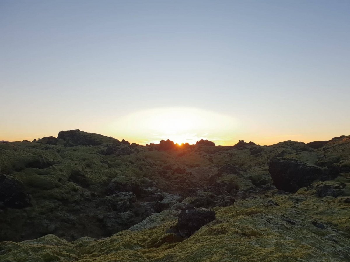 Óskum eftir upplýsingum um fyrirtæki í Rangárþingi ytra