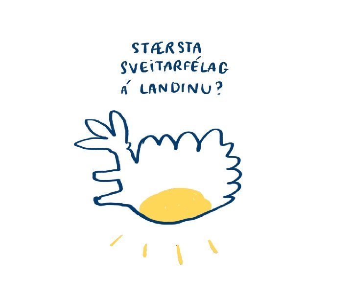 Forsendur tillögu um sameiningu