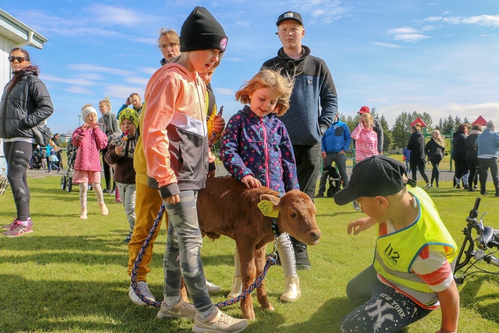 Töðugjöld 18. - 20. ágúst 2023