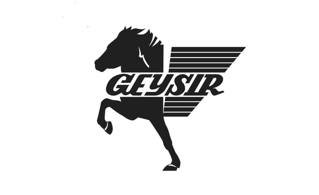 Uppskeruhátíð Æskunnar hjá Geysi