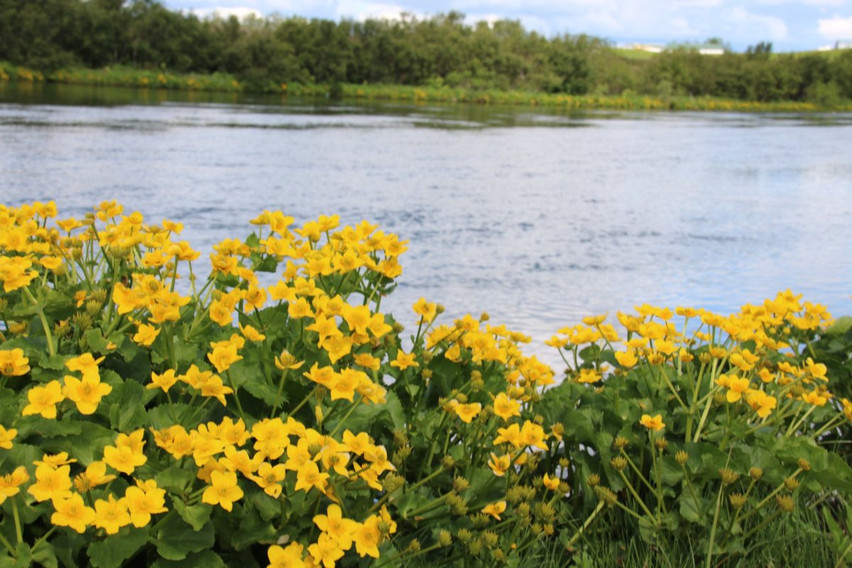 Úthlutað úr menningarsjóði Rangárþings ytra