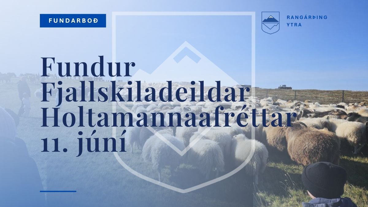 Fundur Fjallskiladeildar Holtamannaafréttar 11. júní