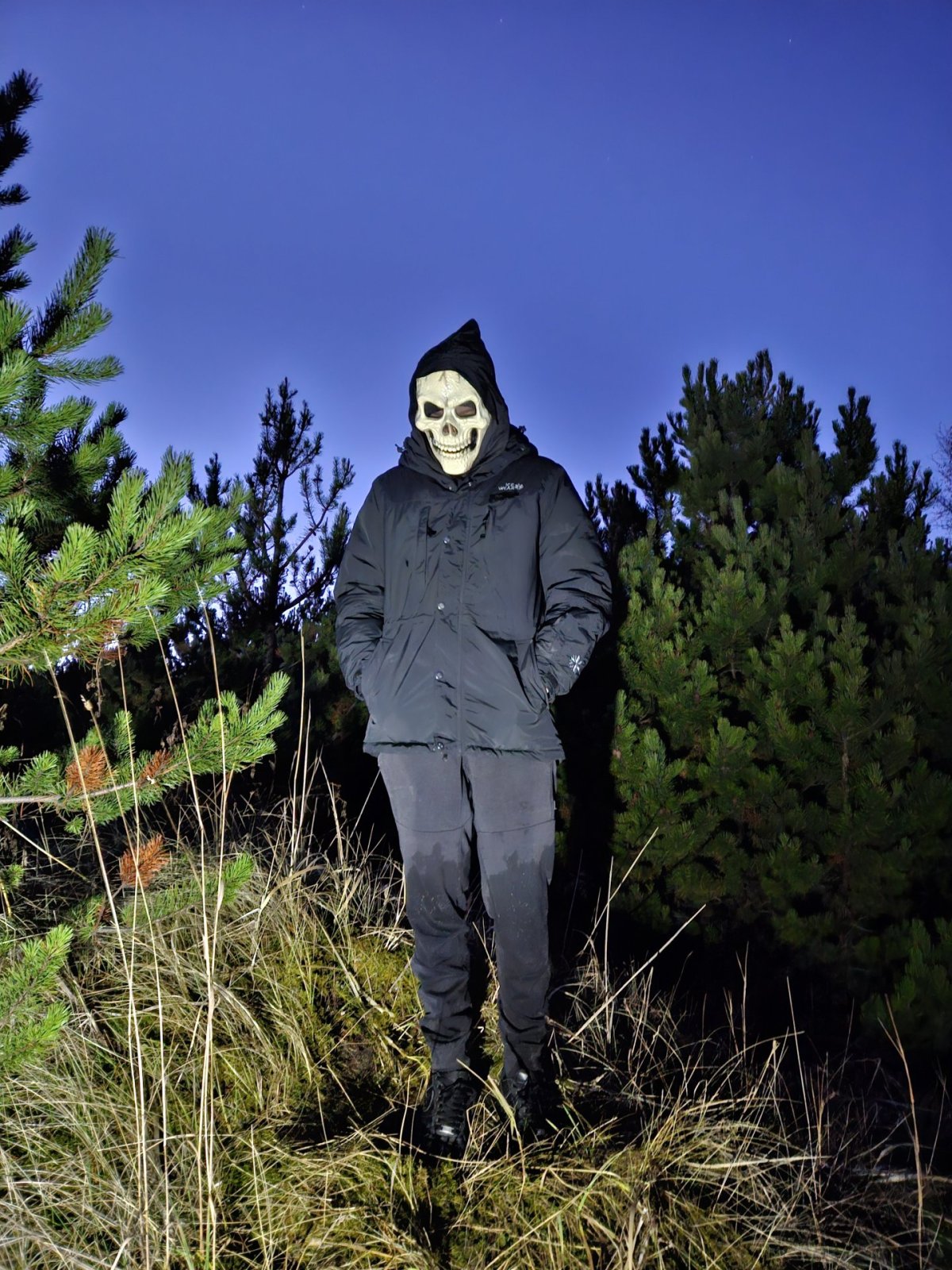 Draugaganga í Bolholtsskógi 9. nóvember