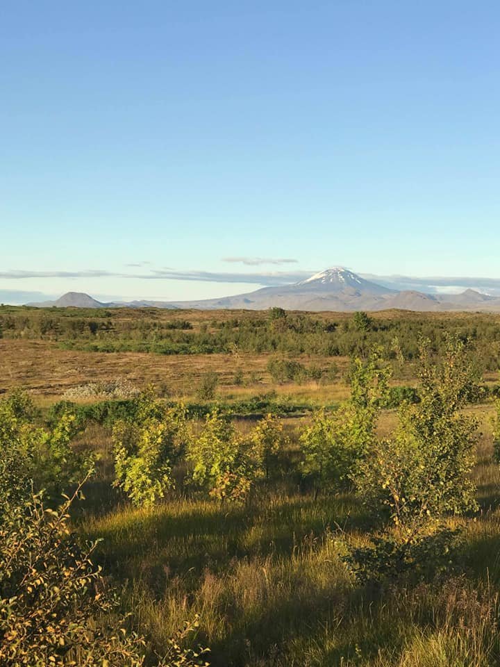 Hekla og Gunnlaugsskógur í forgrunni.