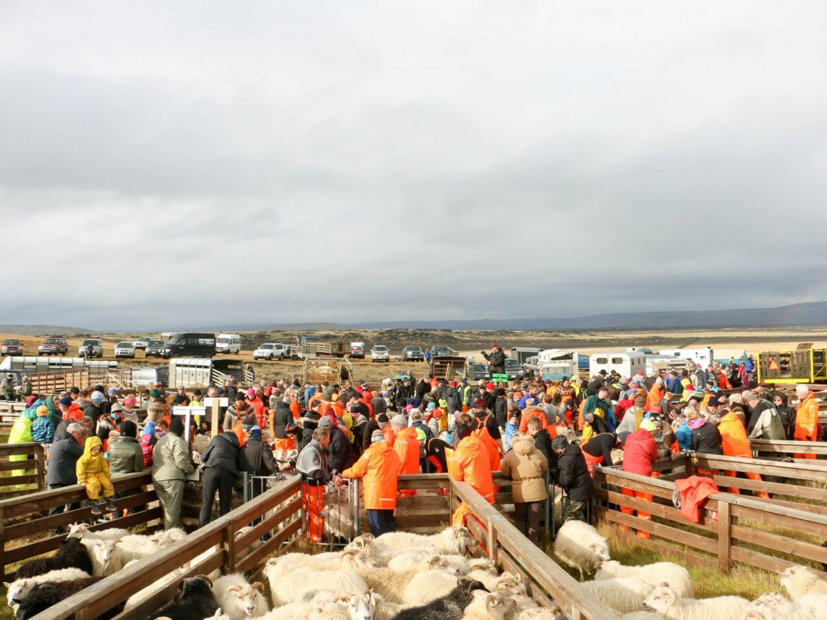 Fjárréttir í Rangárþingi ytra 2022