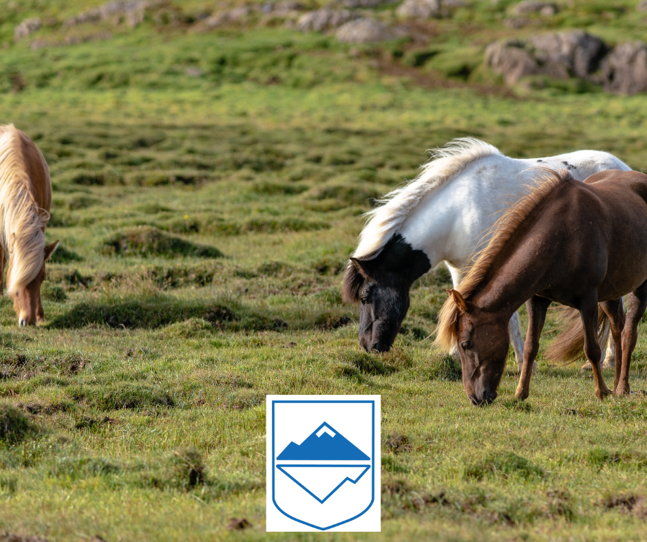 Óheimil notkun á landi sveitarfélagsins