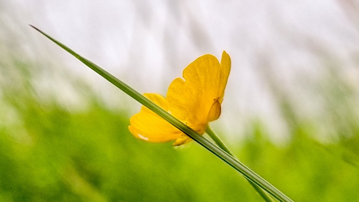 Siðareglur staðfestar