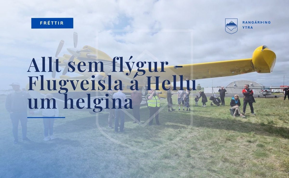 Allt sem flýgur um helgina