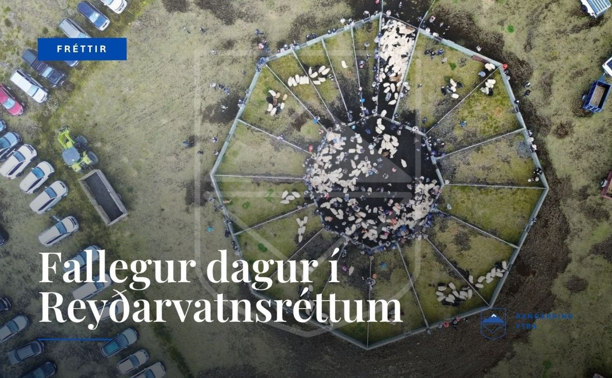 Ljósmynd: Þráinn Gíslason.