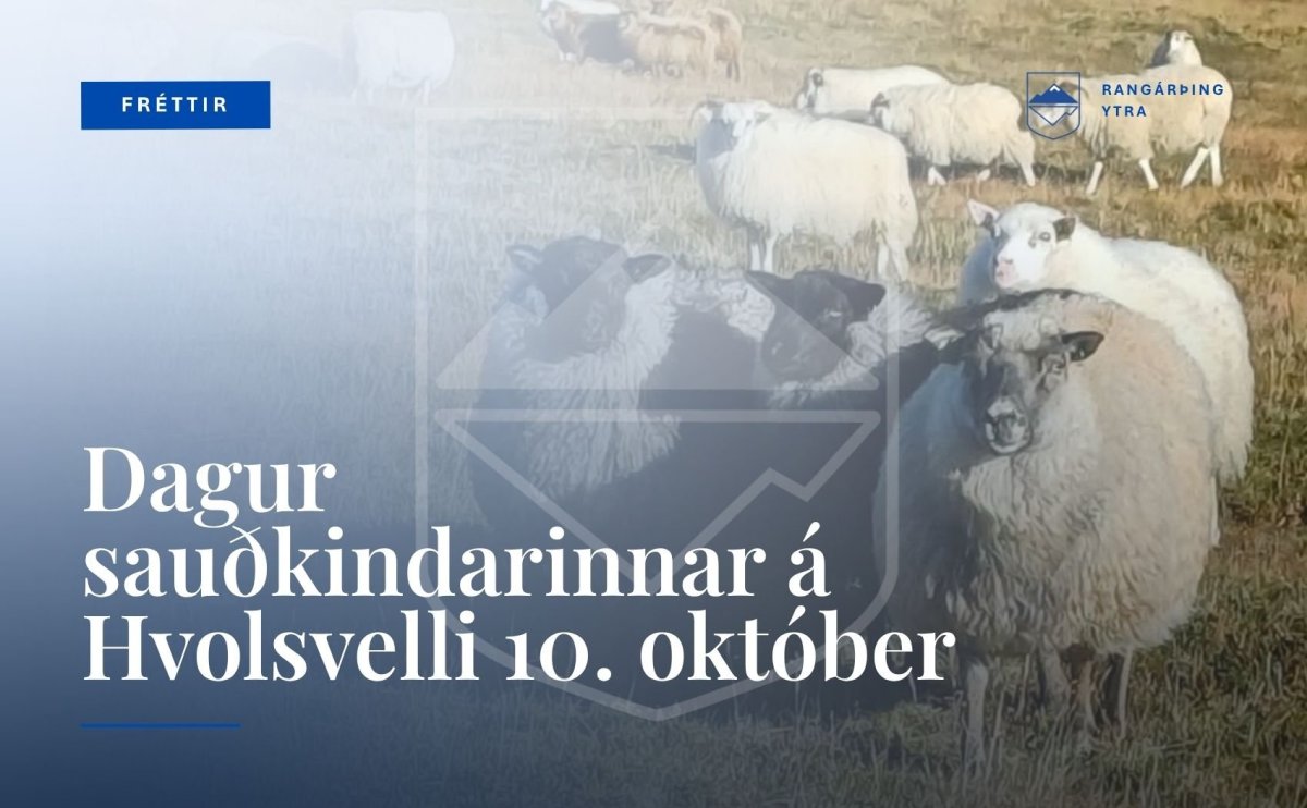 Dagur sauðkindarinnar á Hvolsvelli 10. október