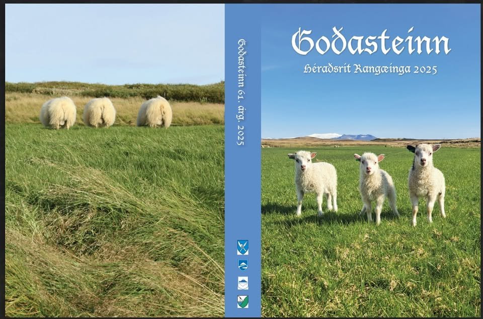 Goðasteinn - útgáfufögnuður