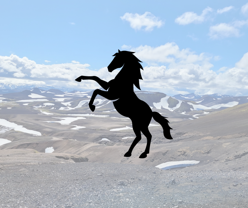 Reiðnámskeið sumarsins