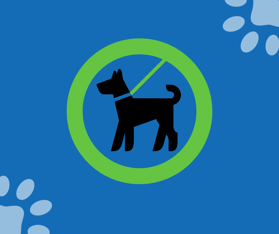 Stöðva þarf lausagöngu hunda á Hellu