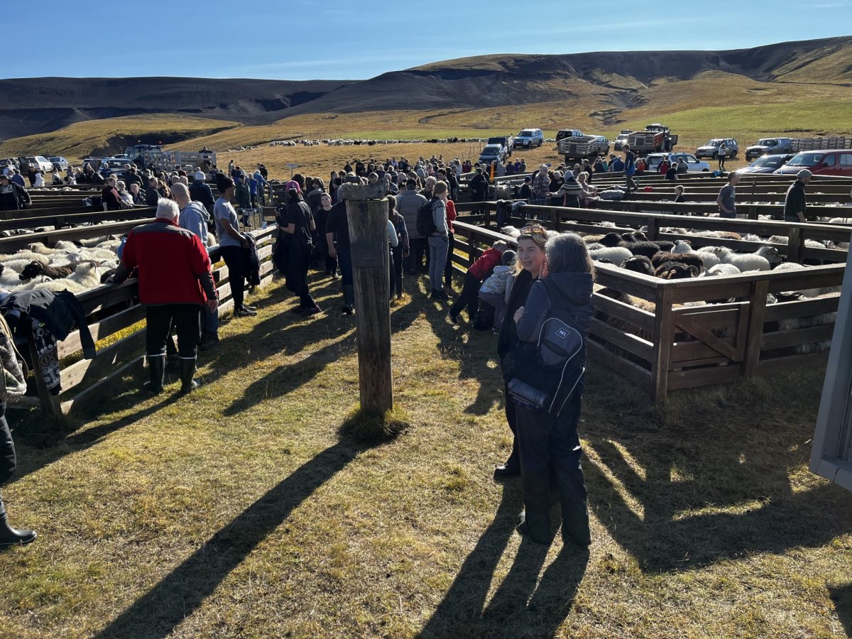 Landréttir við Áfangagil 2024