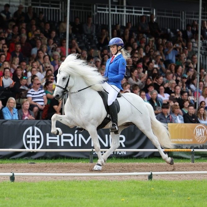 Óskað eftir tilnefningum - íþróttakona og maður ársins og íþróttaafrek 2024