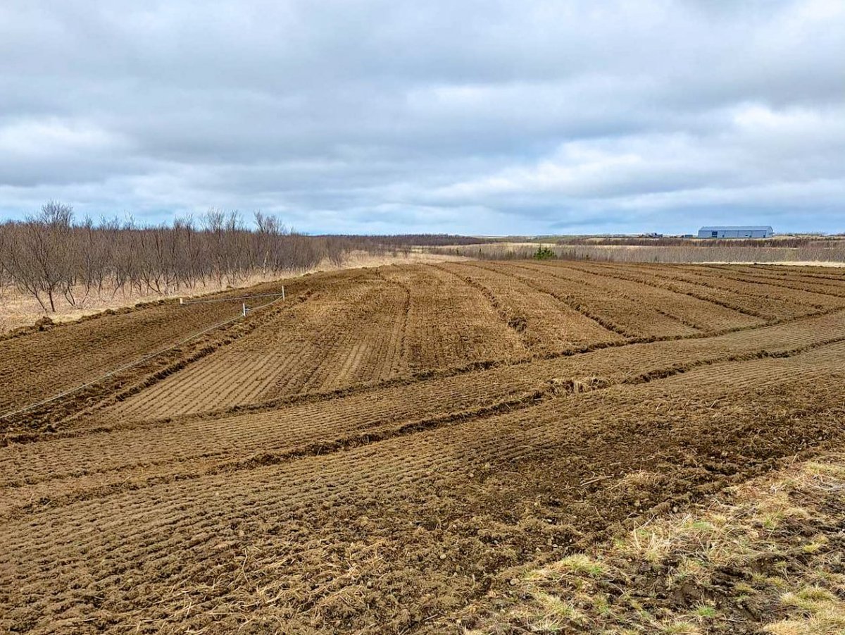 Búið er að tæta og allt tilbúið.