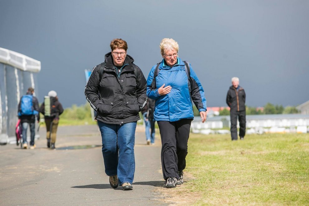 Sjálfboðaliðar óskast á Landsmót hestamanna