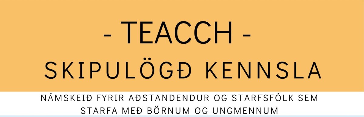 Skipulögð kennsla - TEACCH-námskeið
