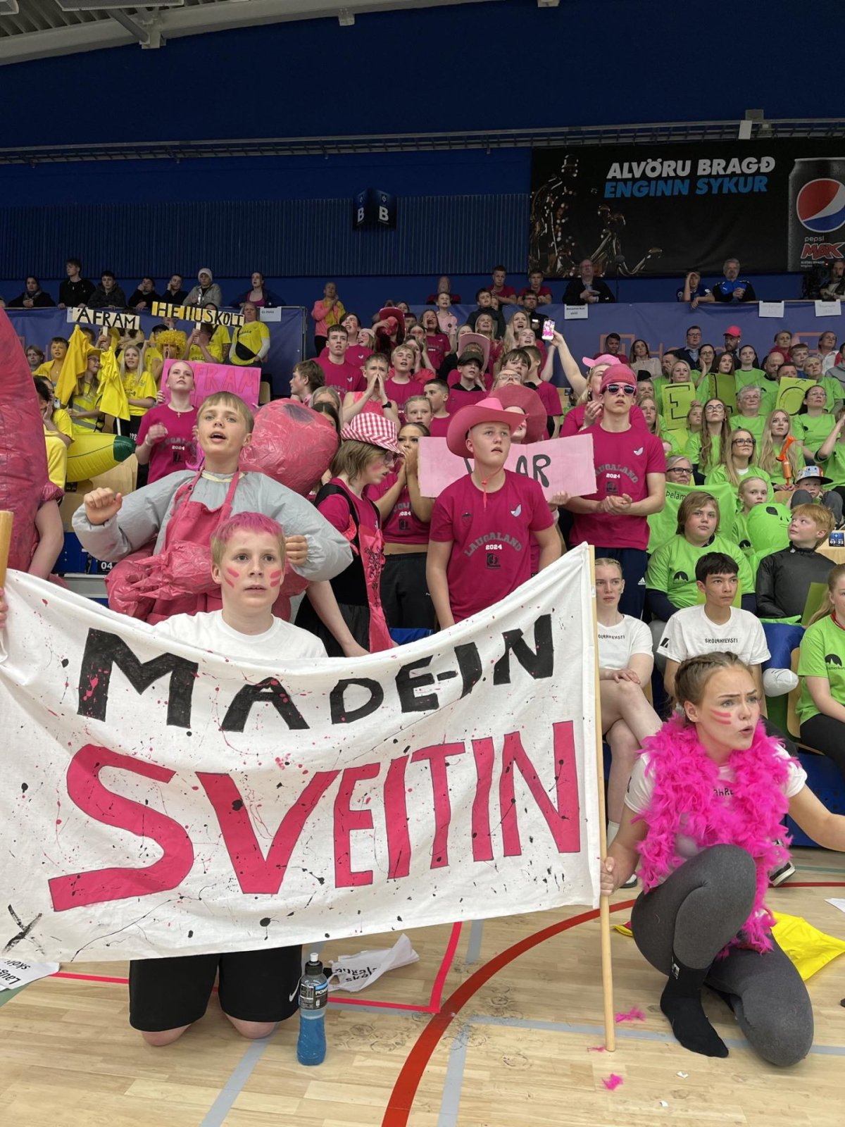 Frábær árangur í Skólahreysti