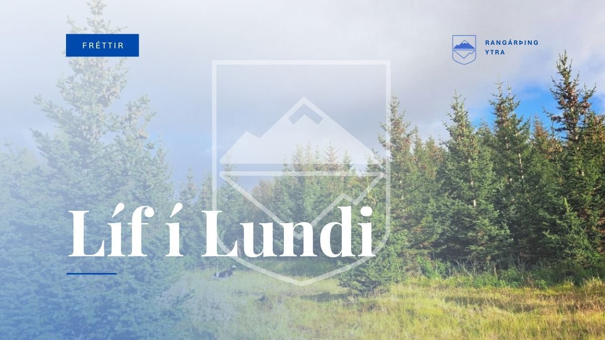 Líf í Lundi