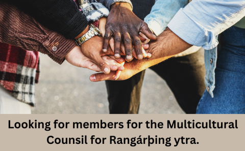 Fjölmenningarráð - tillögur / Multicultural Counsil - suggestions