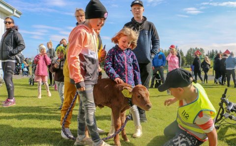 Töðugjöld 18. - 20. ágúst 2023