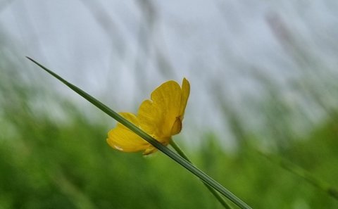 Leitar þú að gefandi starfi ?