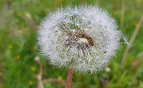 Menningarstyrkur afhentur