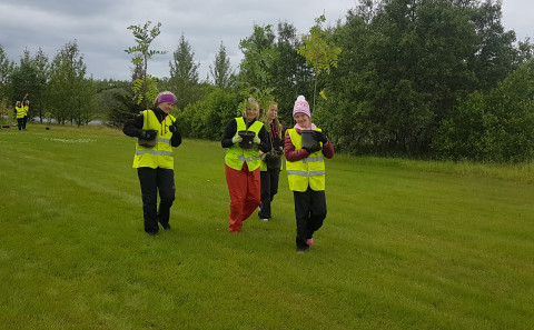 Krakkarnir í vinnuskólanum hafa verið öflugir við að setja niður trén frá Garðaþjónustu Gylfa.