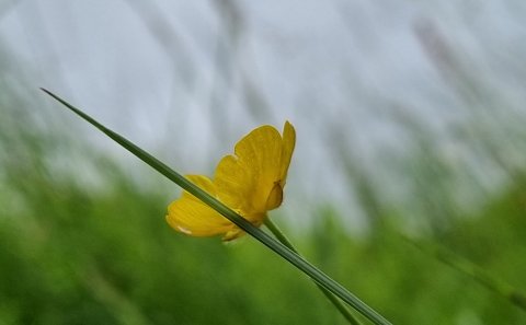 Ritari - Félags- og skólaþjónustan