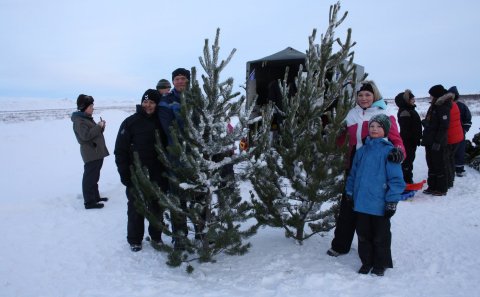 Mynd: Skógræktarfélag Rangæinga