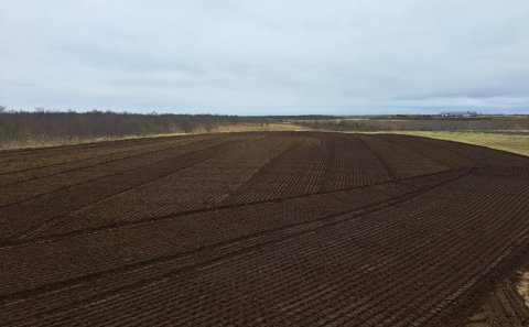 Matjurtagarðurinn í Aldamótaskógi er klár fyrir sumarið