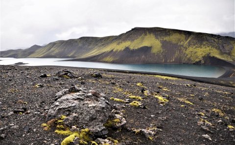 Mynd: Sólveig Stolzenwald