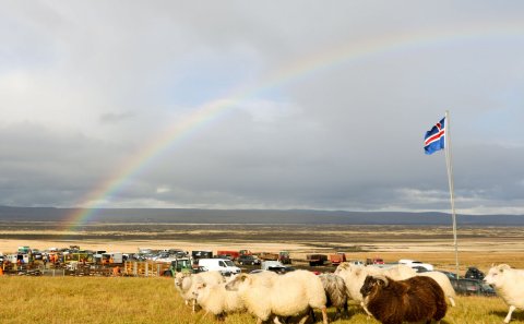 Réttir í Rangárþingi ytra 2021