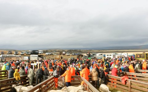 Fjárréttir í Rangárþingi ytra 2022