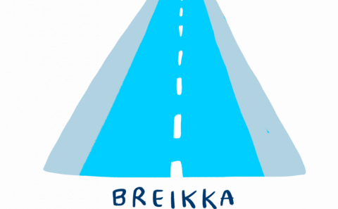 ODDVITAR FUNDA MEÐ ÞINGFLOKKUM