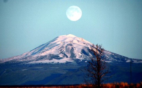 Hátíð í bæ - sunnlensk jóla og menningarsamkoma