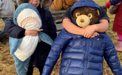 Mynd frá Bangsadegi af www.grhella.is