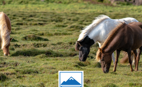 Óheimil notkun á landi sveitarfélagsins