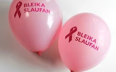 Bleiki dagurinn 22. október