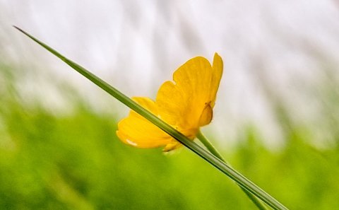 Siðareglur staðfestar