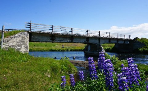 Mynd fengin af vef ioveidileyfi.is - Hróarslækur.