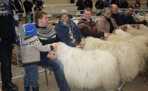 Frá degi sauðkindarinnar.