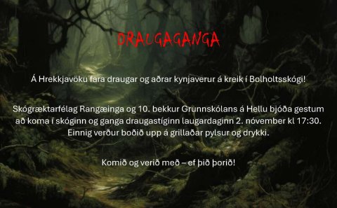 Draugaganga í Bolholtsskógi 2. nóvember